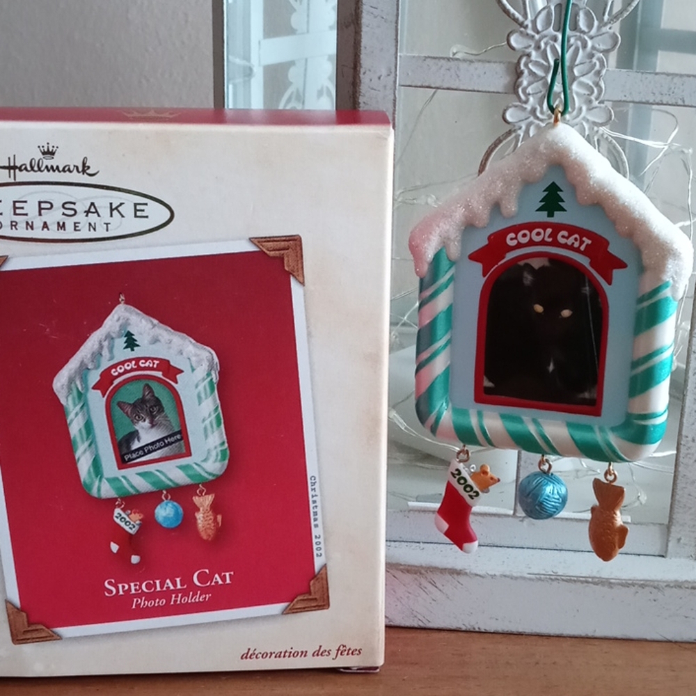 Hallmark Special Cat Photo Ornament
